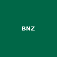 BNZ Low Rate MC