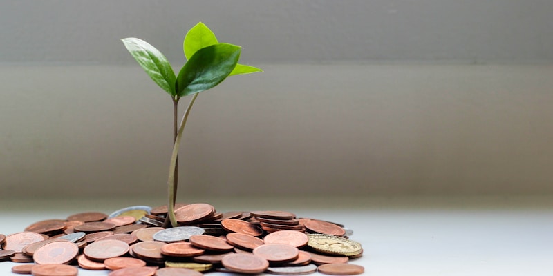 Best High-Yield Savings Accounts in the USA 2026