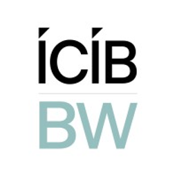 ICIB BROKERWEB Limited